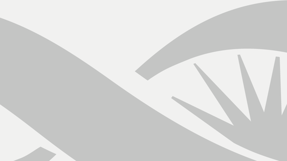 Lic. Araceli Villalba Soria